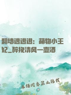 翻墙逃逃逃：萌物小王妃