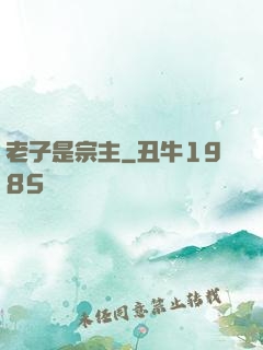 老子是宗主