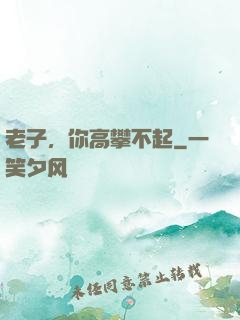 老子，你高攀不起