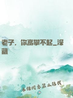 老子，你高攀不起