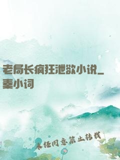 老局长疯狂泄欲小说