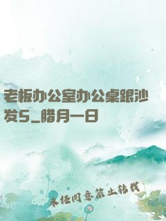 老板办公室办公桌跟沙发5