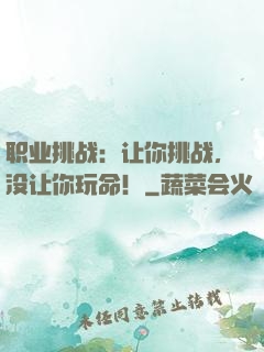 职业挑战：让你挑战，没让你玩命！