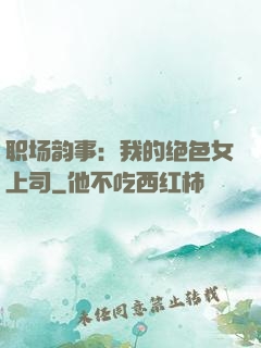职场韵事：我的绝色女上司