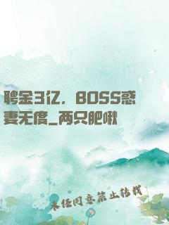 聘金3亿，BOSS惑妻无度