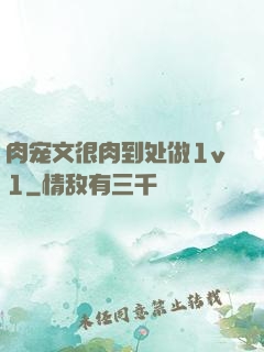 肉宠文很肉到处做1v1