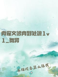 肉宠文很肉到处做1v1