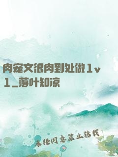 肉宠文很肉到处做1v1