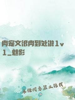 肉宠文很肉到处做1v1
