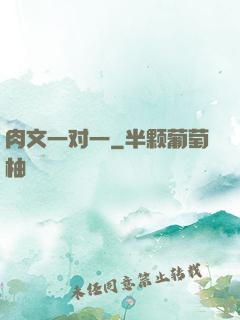 肉文一对一
