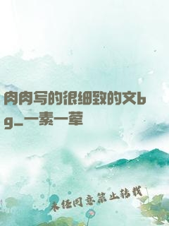 肉肉写的很细致的文bg