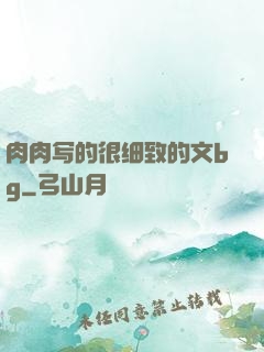 肉肉写的很细致的文bg