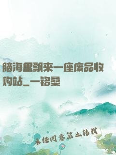 脑海里飘来一座废品收购站