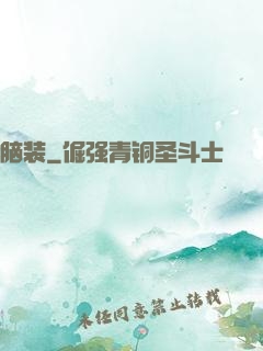 脑装