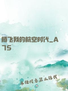 腾飞我的航空时代