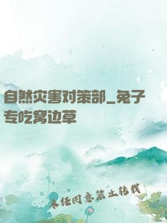 自然灾害对策部