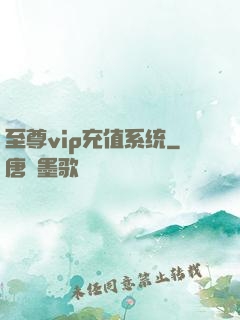 至尊vip充值系统