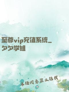 至尊vip充值系统