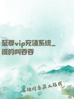 至尊vip充值系统