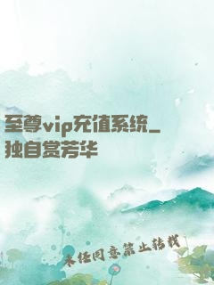 至尊vip充值系统