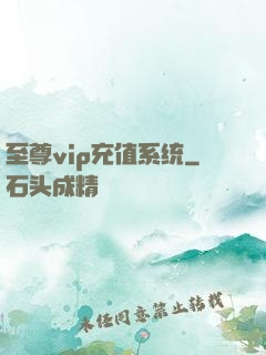 至尊vip充值系统