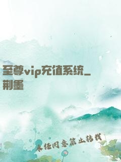至尊vip充值系统