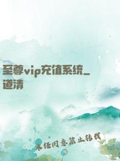 至尊vip充值系统