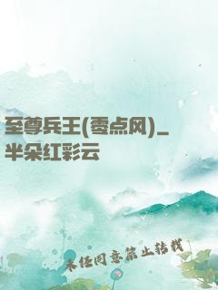 至尊兵王(零点风)