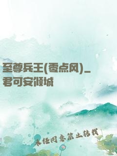 至尊兵王(零点风)