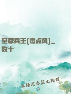 至尊兵王(零点风)