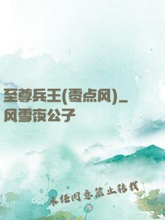 至尊兵王(零点风)