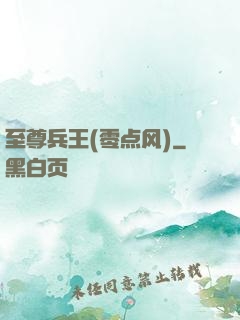 至尊兵王(零点风)