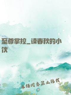 至尊掌控