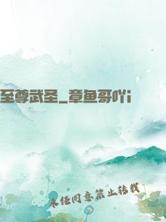 至尊武圣