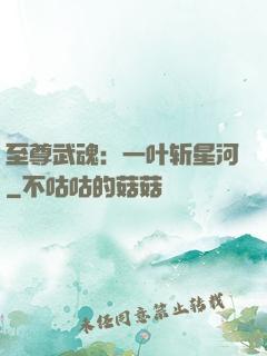 至尊武魂：一叶斩星河