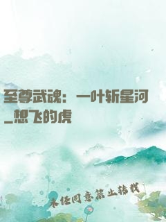 至尊武魂：一叶斩星河