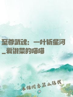 至尊武魂：一叶斩星河