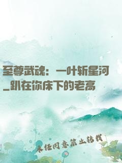 至尊武魂：一叶斩星河