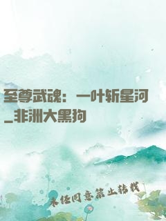 至尊武魂：一叶斩星河