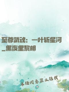 至尊武魂：一叶斩星河