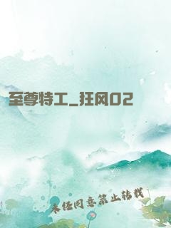 至尊特工