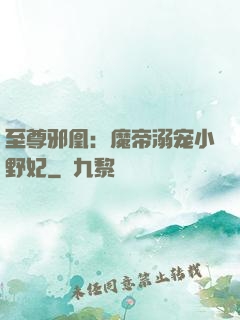 至尊邪凰：魔帝溺宠小野妃