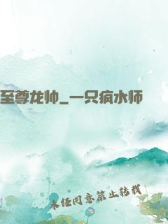 至尊龙帅