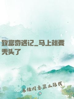 致富奇遇记