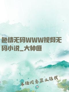 色情无码WWW视频无码小说