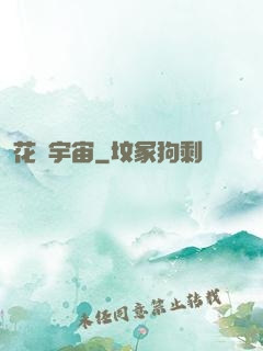花燚宇宙