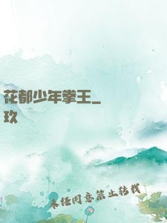 花都少年拳王