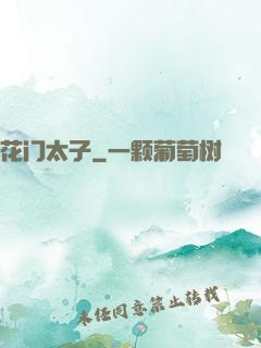 花门太子