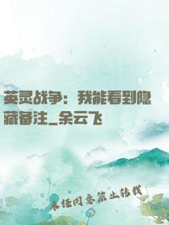 英灵战争：我能看到隐藏备注