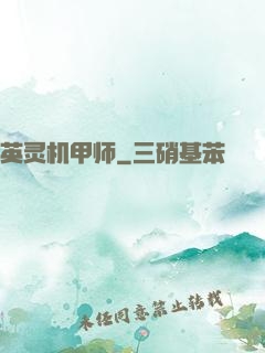 英灵机甲师